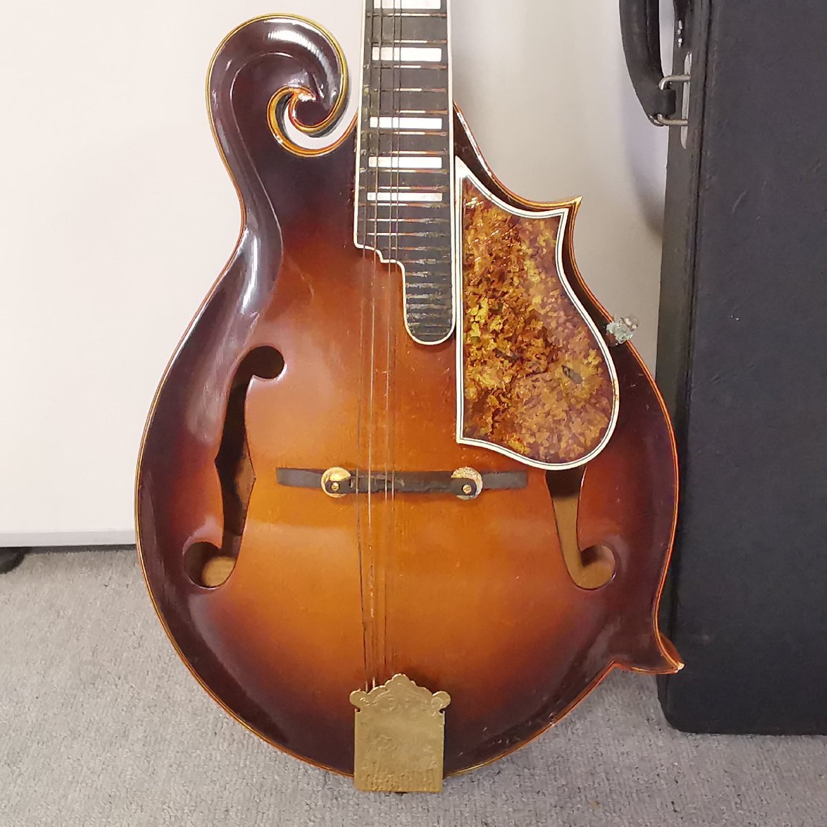BlueBell ブルーベル マンドリン F-8 F8 富士弦楽器 フジゲン ハード