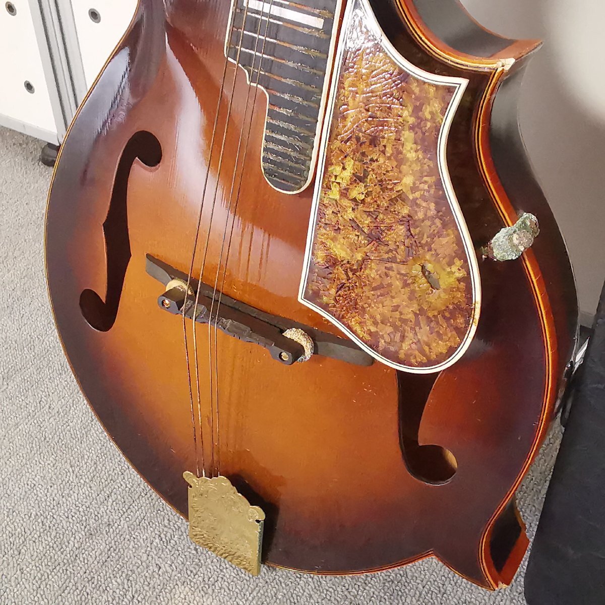 BlueBell ブルーベル マンドリン F-8 F8 富士弦楽器 フジゲン ハード