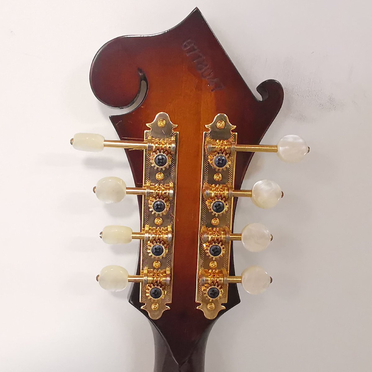 BlueBell ブルーベル マンドリン F-8 F8 富士弦楽器 フジゲン ハード