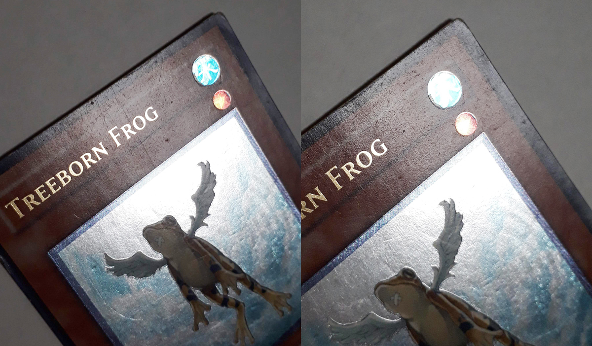 遊戯王/黄泉ガエル 英語版 SOI-EN025 1st レリーフ Treeborn Frog