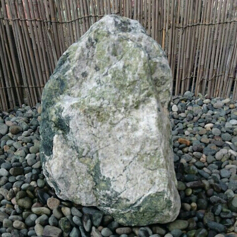 r169725772.2