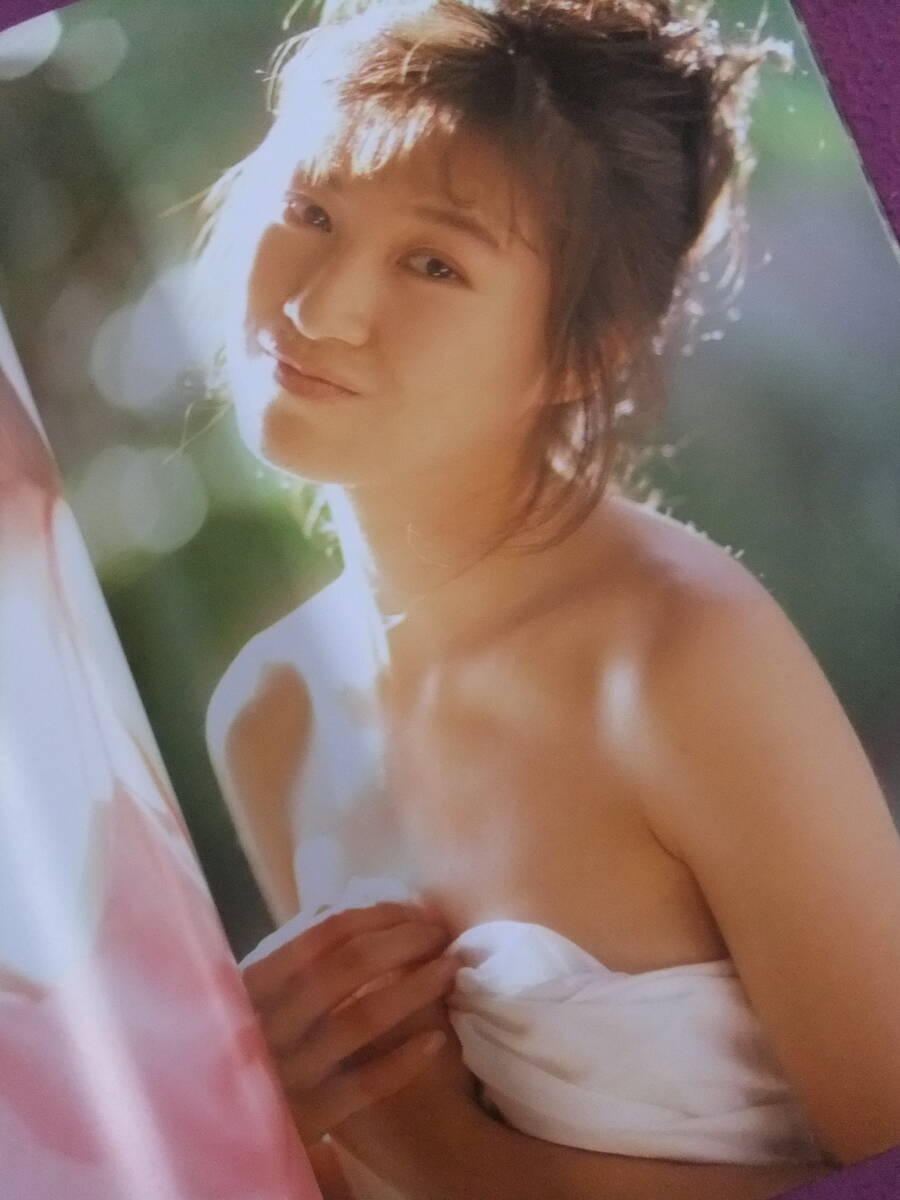 △A7478/【水着写真集】/森口博子写真集『Wow！/ワオ！』/1992.6.20
