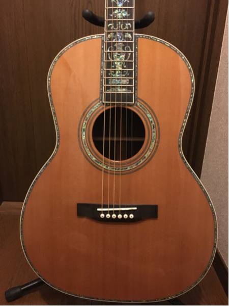 豪華インレイギター 新品未使用