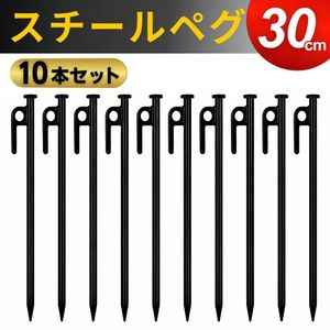 スチールペグ 30cm 10本セット キャンプ用品 テントアウトドア用品 BBQ ソロキャンプ 鋳
