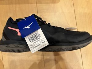 【新品　バドミントンシューズ】ウェーブファング2FIT