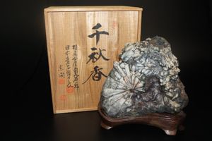 岐阜県根尾谷産菊花石の値段と価格推移は？｜6件の売買データから岐阜