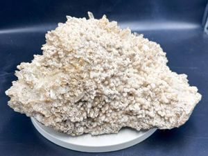 鍾乳石の値段と価格推移は？｜2件の売買データから鍾乳石の価値が