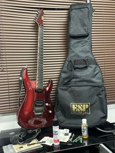 フロイド ローズの値段と価格推移は？｜497件の売買データからフロイド