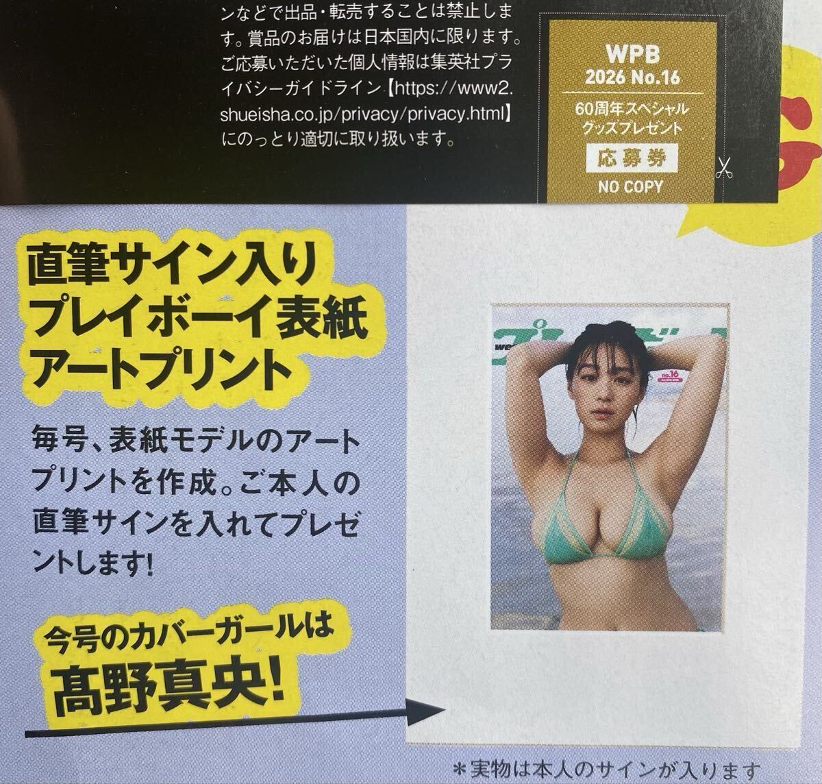 週刊プレイボーイ16号 60周年スペシャルグッズプレゼント 高野真央