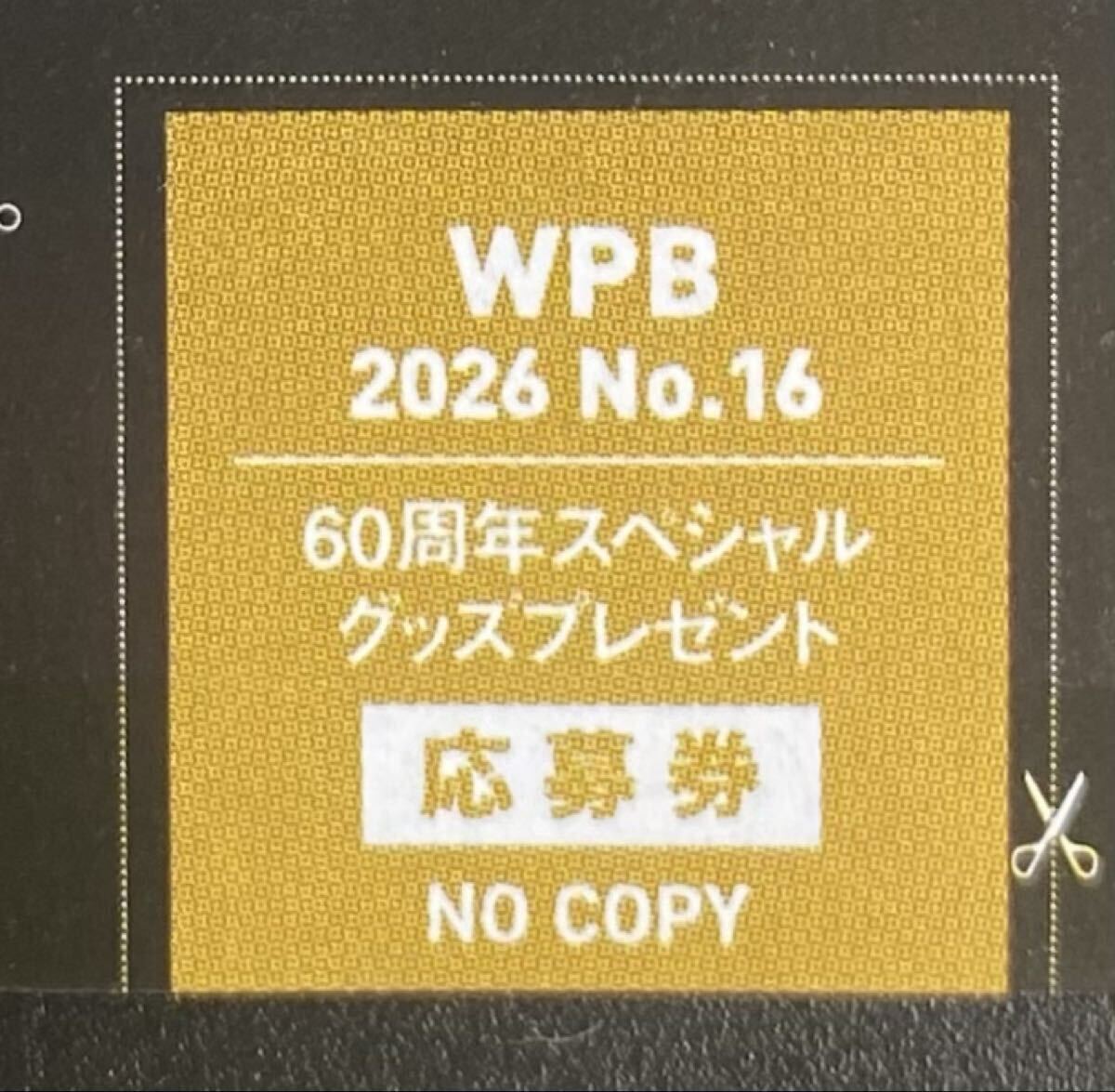 週刊プレイボーイ16号 60周年スペシャルグッズプレゼント 高野真央