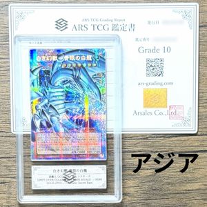 青眼 白龍 arsのYahoo!オークション(旧ヤフオク!)の相場・価格を見る