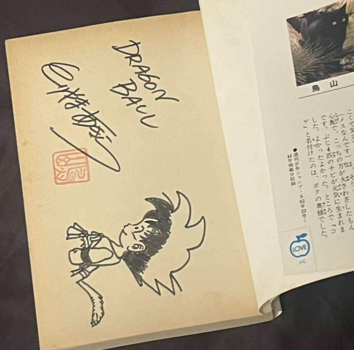初版1992年 ドラゴンボール【 初版サイン本 】コミック 12巻 鳥山明第1