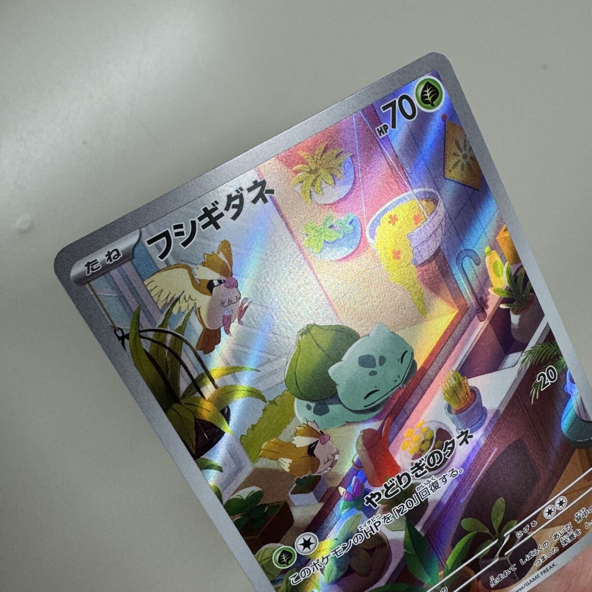 ポケモンカード フシギダネ 050/049 svG AR仕様 (69)(シングルカード