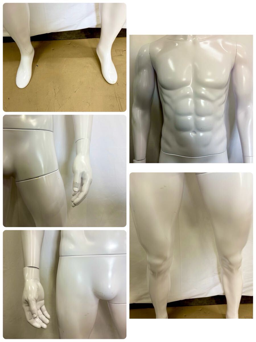 ♭ 男性用 全身マネキン トルソー 180cm超 リアルボディ 分割式 店舗