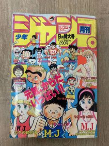 やるっきゃ騎士の値段と価格推移は？｜32件の売買データからやるっきゃ