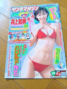 井上和香 マガジンの値段と価格推移は？｜21件の売買データから井上