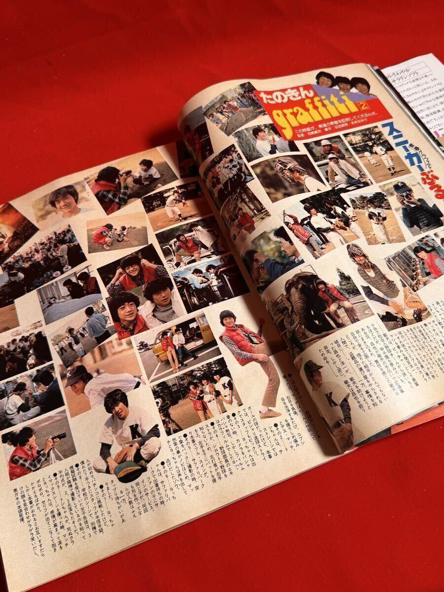 平凡 1981年1月号 たのきんトリオ 松田聖子 近藤真彦 三原順子 河合