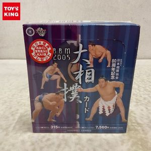 T 大相撲カード まとめ 約800枚 BBM 1997年 1998年 1999年 T26052528 相撲