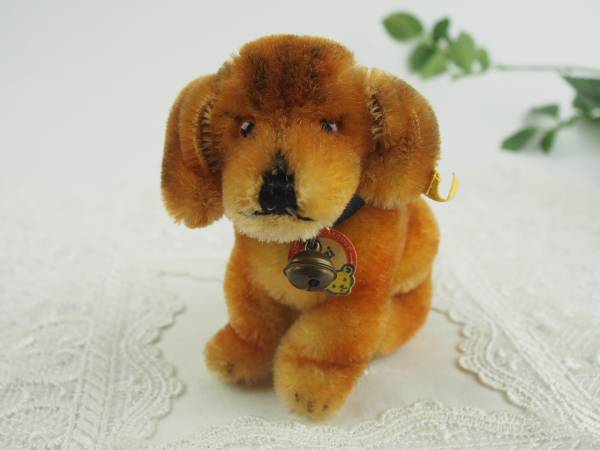 オールドシュタイフ　ダックスフント　Bazi Dachshund Steiff Bazi of | Dachshunds About All Best The