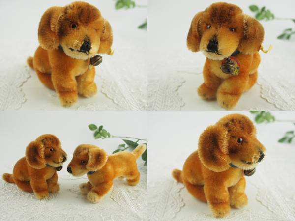 Dachshund Steiff Bazi of | Dachshunds About All Best The
