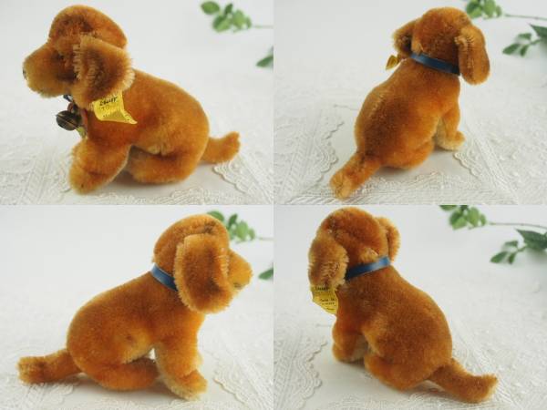 Dachshund Steiff Bazi of | Dachshunds About All Best The