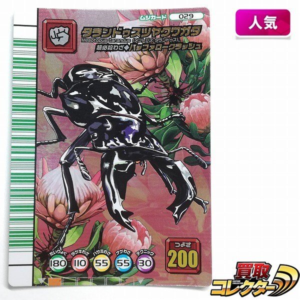 ムシキング ツヤクワガタの値段と価格推移は？｜28件の売買データから