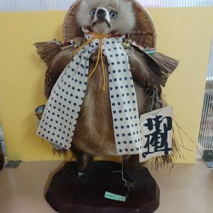 たぬき 剥製の値段と価格推移は？｜2件の売買データからたぬき 剥製の