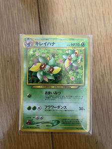 キレイハナ 旧の値段と価格推移は？｜16件の売買データからキレイハナ