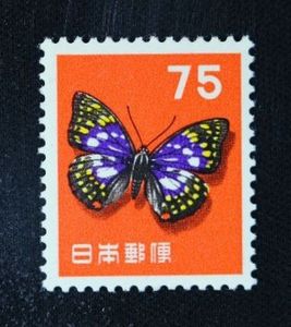 オオムラサキの値段と価格推移は？｜75件の売買データからオオムラサキ