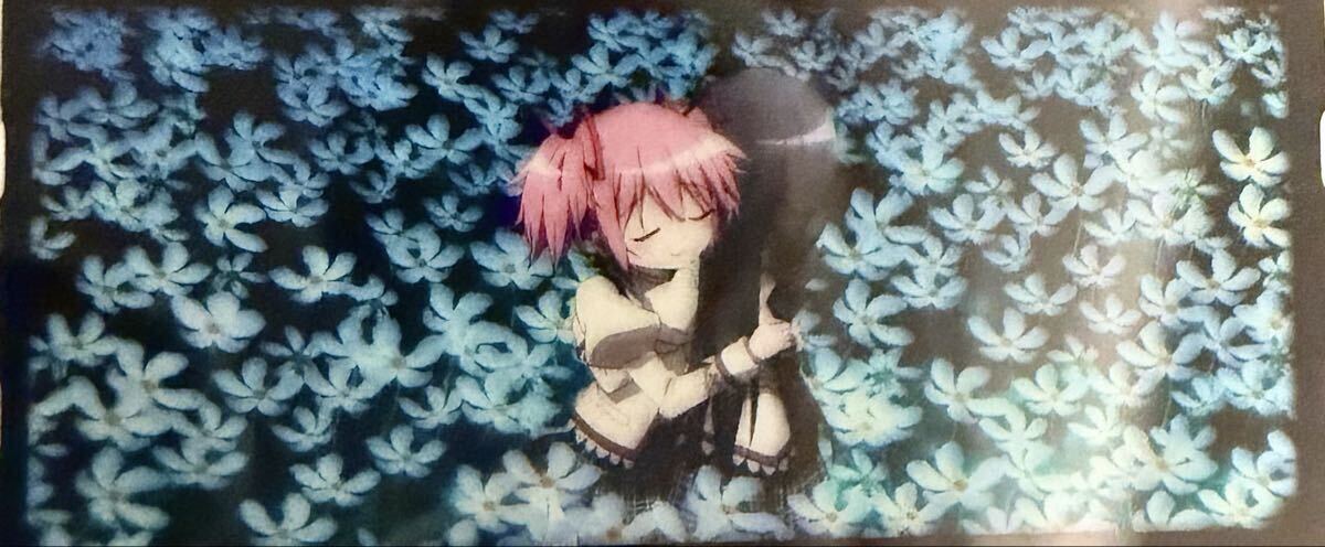 劇場版 魔法少女まどか☆マギカ 特典の値段と価格推移は？｜697件の
