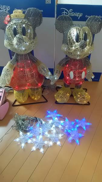 ディズニーイルミネーション