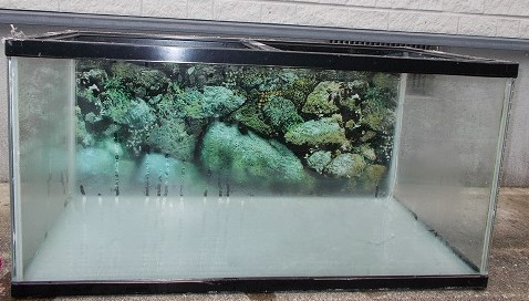 水槽一式 900×450×450 KOTOBUKI （中古） 住まい、インテリア 魚、水草