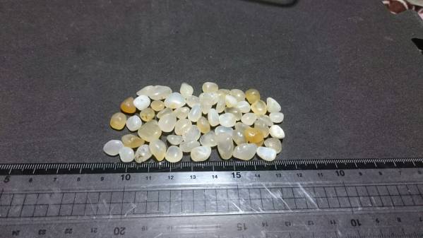 舎利石　青森今別産　Ｄランク　50粒以上 D-14