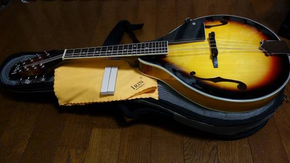 Andoer 8 弦　マンドリン フラット　中古美品