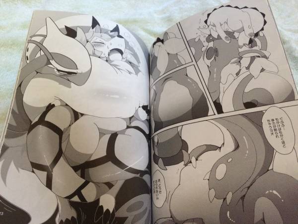 獣人ケモノ ポケモン系同人誌 Toxicboundの入札履歴 入札者の順位