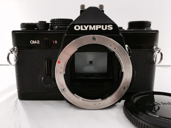 g206508293.1