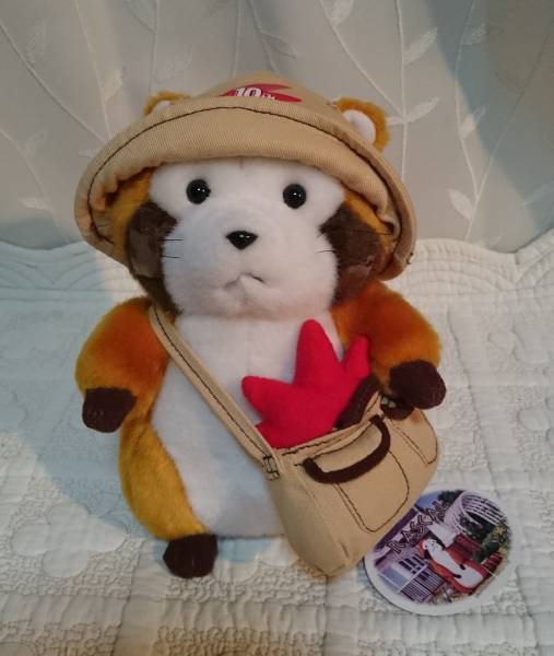 定番人気 あらいぐま ラスカル ぬいぐるみ 広島空港 10th プレミアム Www Yourazlawyer Com