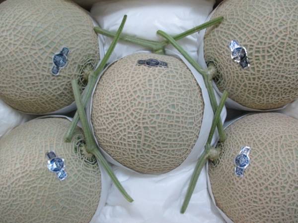 静岡高級クラウンメロン『白8.4』５玉入り！