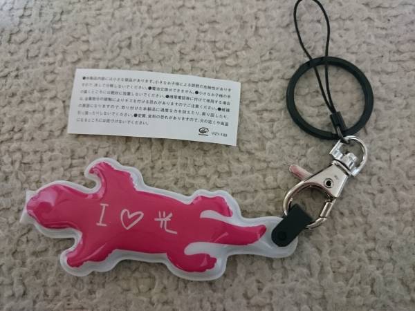 ハナレグミ 光と影 ヒカリトカゲ ライト付きキーホルダー その他 売買されたオークション情報 Yahooの商品情報をアーカイブ公開 オークファン Aucfan Com