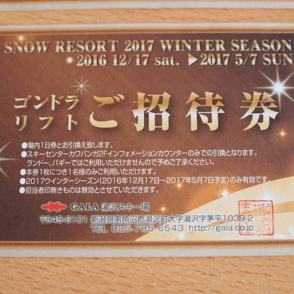 ガ－ラ湯沢 1日券 2枚組 ガーラ湯沢（GALA湯沢） 2025-26シーズン