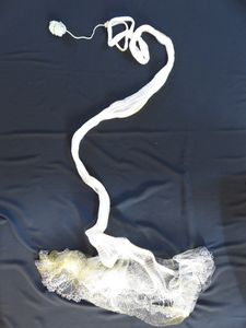 投網 漁具 約4.7kg 投網のYahoo!オークション(旧ヤフオク!)の相場
