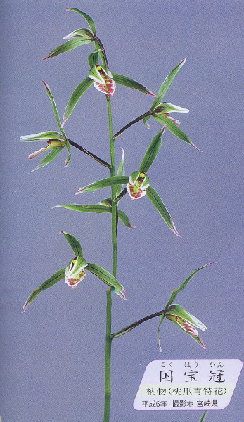 u132004107.2