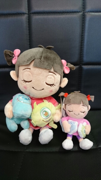 t495090101