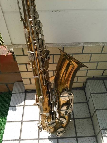 v530091498.2