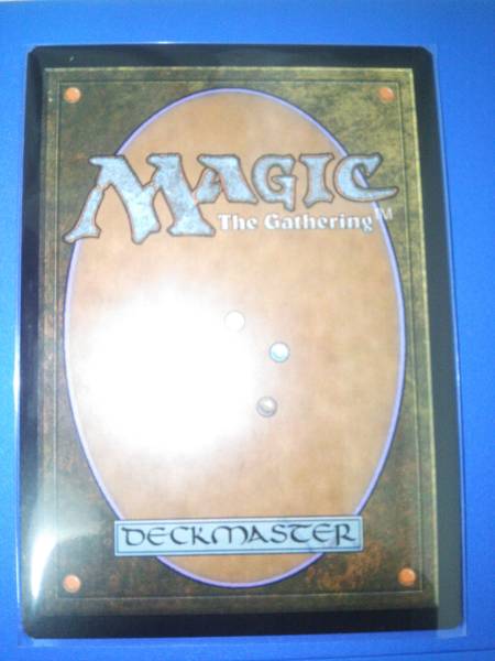 MTG 沸騰する小湖 Scalding TarnドラゴンスケイルFoil 英語 【MTG