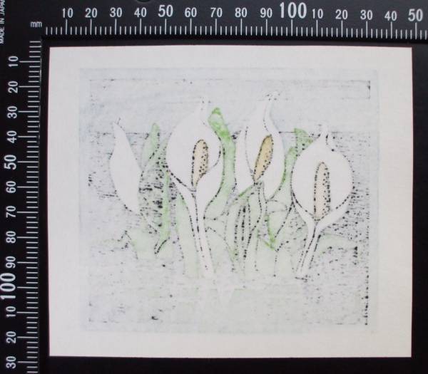 アンティーク 昭和56年 講談社オリジナル 木版画 大本靖【水芭蕉の尾瀬沼】 2026年最新】Yahoo!オークション -水芭蕉(美術品)の中古品・新品・未 版画