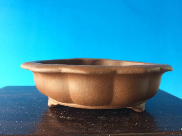 コレクター必見！名人作家の希少小鉢《幸治》鉢！