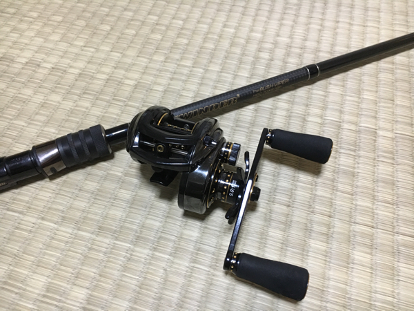 g246407425.3