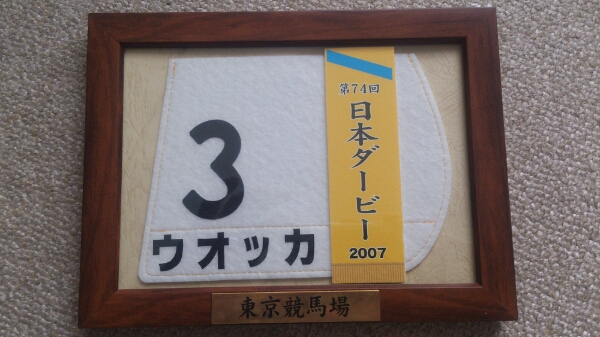 日本ダービー限定 額縁入り優勝レイ＆ゼッケン ウオッカ (競馬)｜売買