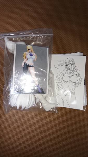 ワンフェス 四次元組曲 レディ・カワグチ